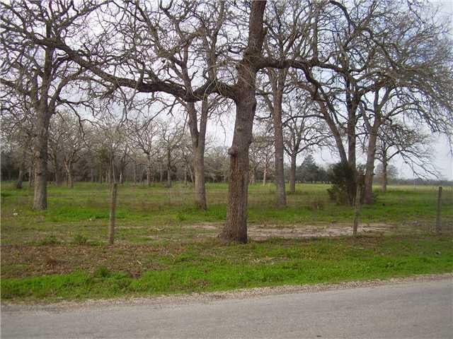 View 00 County Road 226 00 County Road 226 - front exterior - Luxury home in Giddings, TX