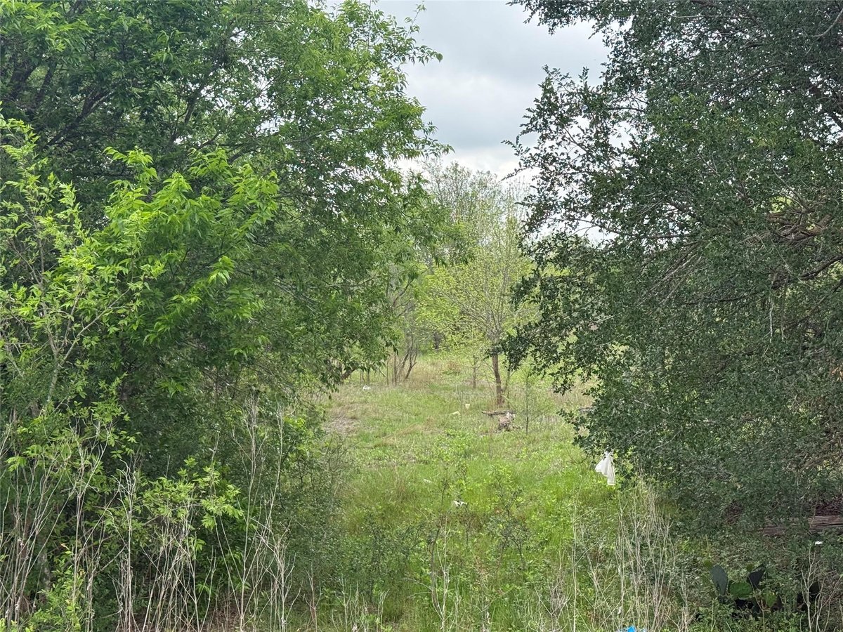 View 00 Dickerson Rd in Green Pastures 00 Dickerson Rd - front exterior - Luxury lot in Green Pastures, Kyle, TX