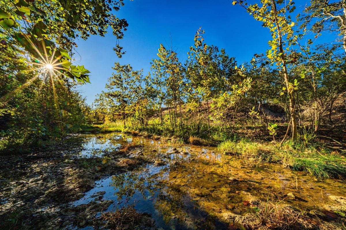 View 00 F-m 2843 00 F-m 2843 - property photo 1 - Luxury home in Salado, TX