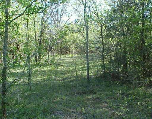 View 00 FM 1296 00 FM 1296 - front exterior - Luxury home in Jeddo, TX
