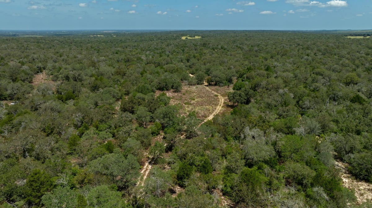 View 00 Red Sand TRL in Red Sand Trail 00 Red Sand TRL - property photo 1 - Luxury lot in Red Sand Trail, Dale, TX