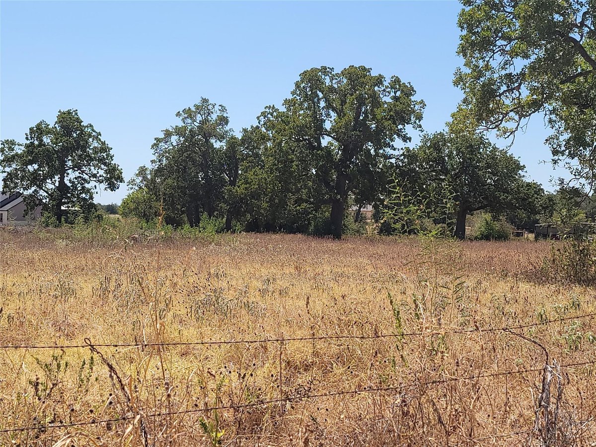 View 000 Brown RD in Audrie Brianna Estates 000 Brown RD - front exterior - Luxury lot in Audrie Brianna Estates, McDade, TX