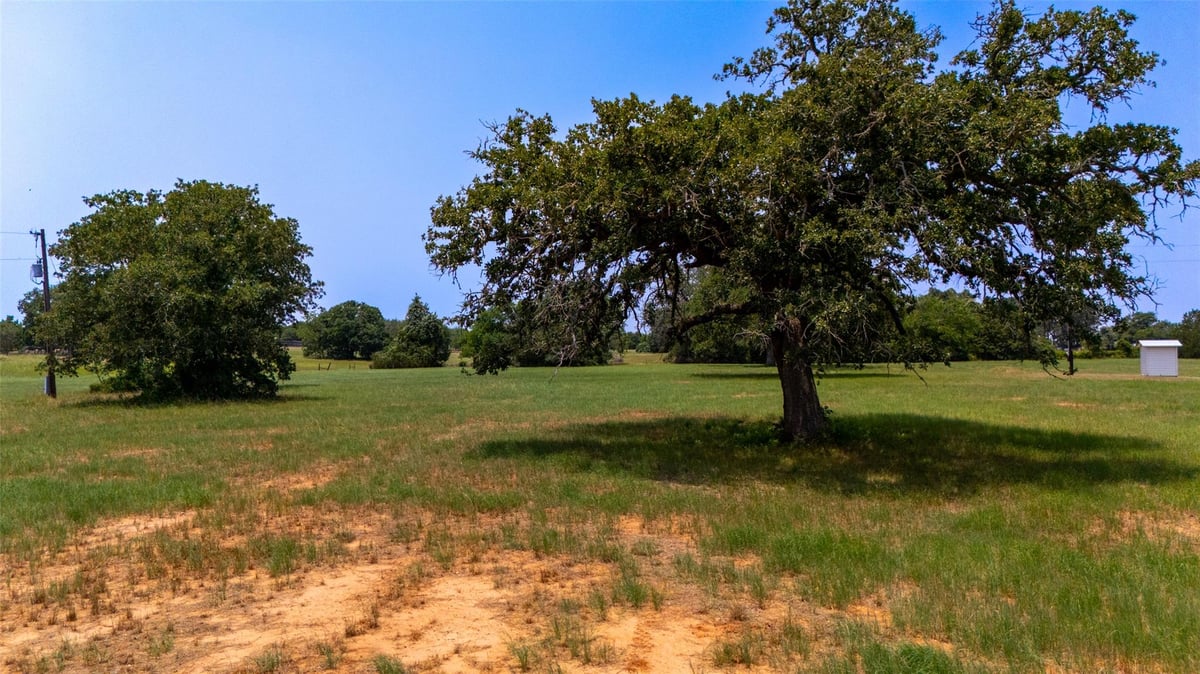 View 000 Cattlemens Row RD in A242 000 Cattlemens Row RD - front exterior - Luxury lot in A242, Lockhart, TX