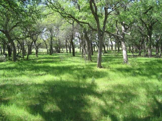 View 000 County Road 272 000 County Road 272 - front exterior - Luxury home in Bertram, TX