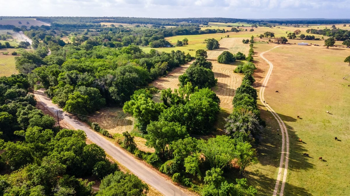 View 000 County Road 322 000 County Road 322 - front exterior - Luxury lot in Milano, TX