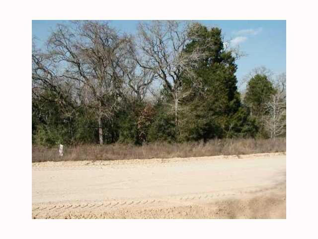 View 000 County Road B 000 County Road B - property photo 1 - Luxury home in Blue, TX