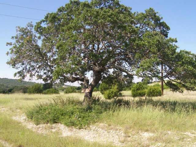 View 000 Cow Creek RD 000 Cow Creek RD - property photo 1 - Luxury lot in Marble Falls, TX