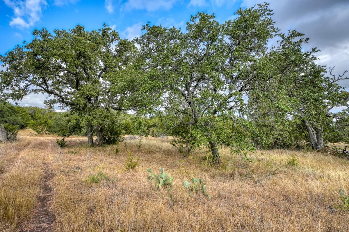 View 000 Cr 103 in NONE 000 Cr 103 - front exterior - Luxury home in NONE, Lampasas, TX