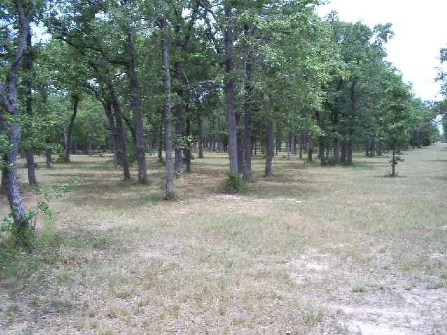 View 000 Deer Haven RD in Carmine 000 Deer Haven RD, photo 1, Carmine, Carmine, TX