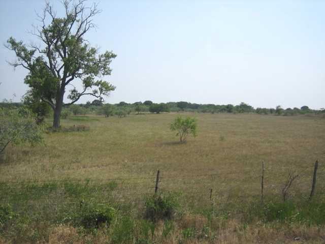 View 000 FM 487 000 FM 487 - front exterior - Luxury home in Sharp, TX