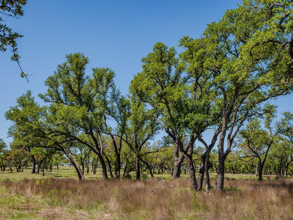 View 000 Little Creek Rnch in Flat Creek Ranches 000 Little Creek Rnch - property photo 1 - Luxury lot in Flat Creek Ranches, Johnson City, TX