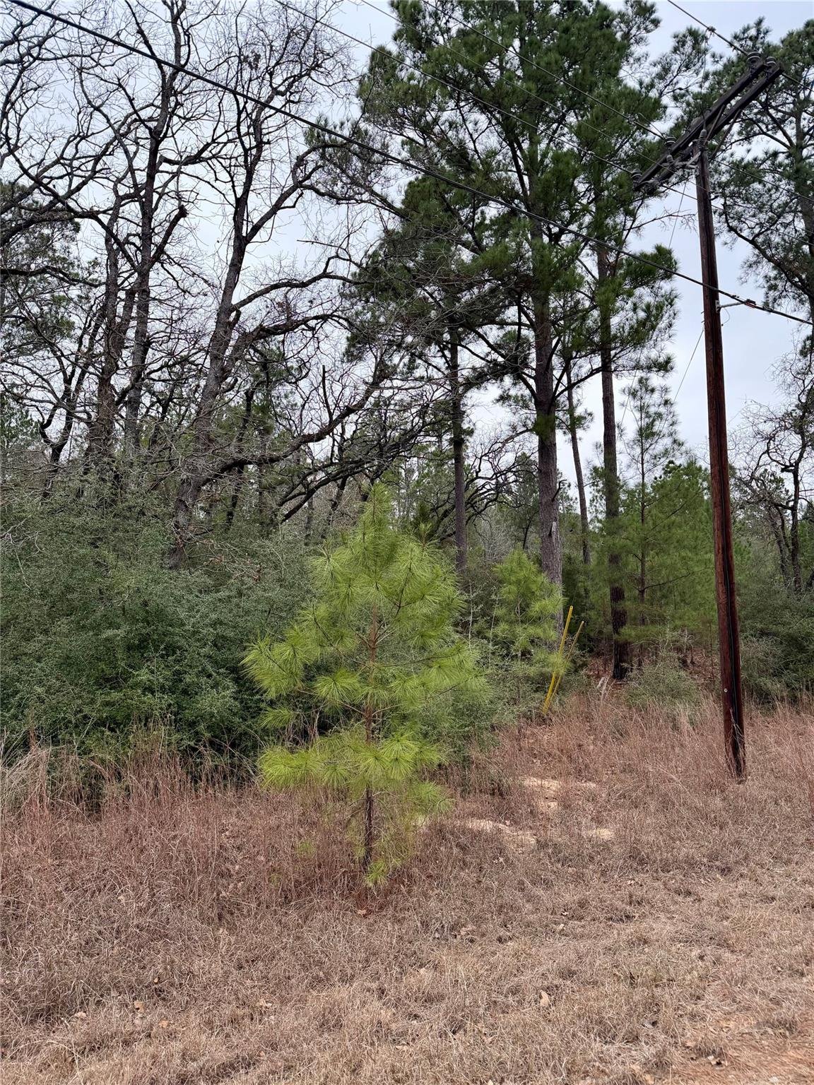 View 000 Makaha Dr in Tahitian Village, 000 Makaha Dr - front exterior - Luxury lot in Tahitian Village,, Bastrop, TX