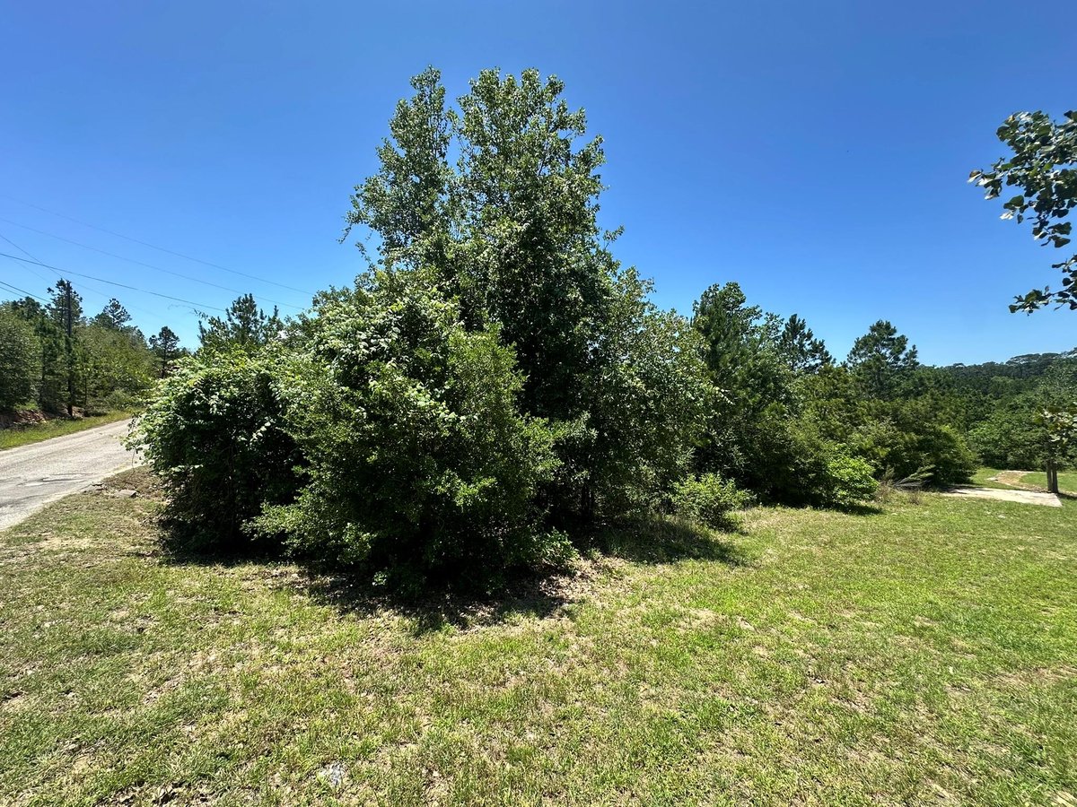 View 000 Manawianui DR in Tahitian Village Unit 2 000 Manawianui DR - front exterior - Luxury lot in Tahitian Village Unit 2, Bastrop, TX