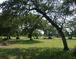 View 000 Nink Rd 000 Nink Rd - property photo 1 - Luxury lot in Smithville, TX