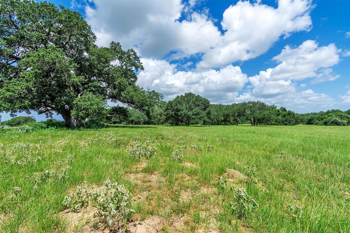View 000 Old Cuero RD in Yoakum 000 Old Cuero RD, photo 1 of 22, Yoakum, Yoakum, TX