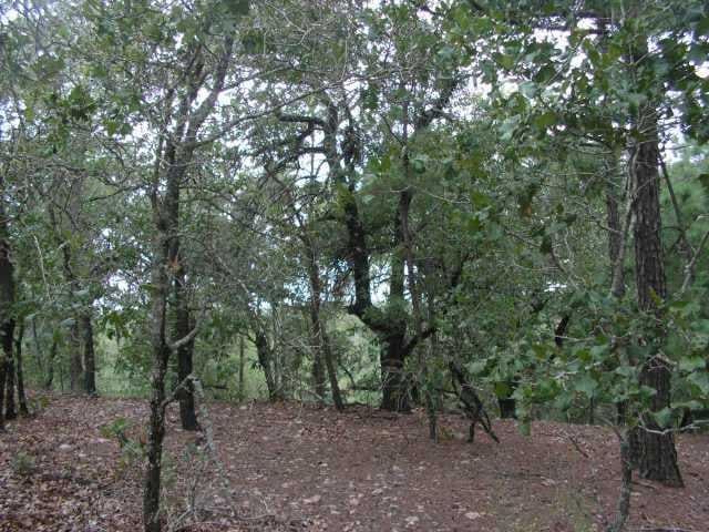 View 000 River Forest, Lot 13 000 River Forest, Lot 13 - front exterior - Luxury lot in Bastrop, TX