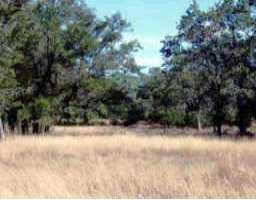 View 000 State Hy 71 000 State Hy 71 - front exterior - Luxury home in Spicewood, TX