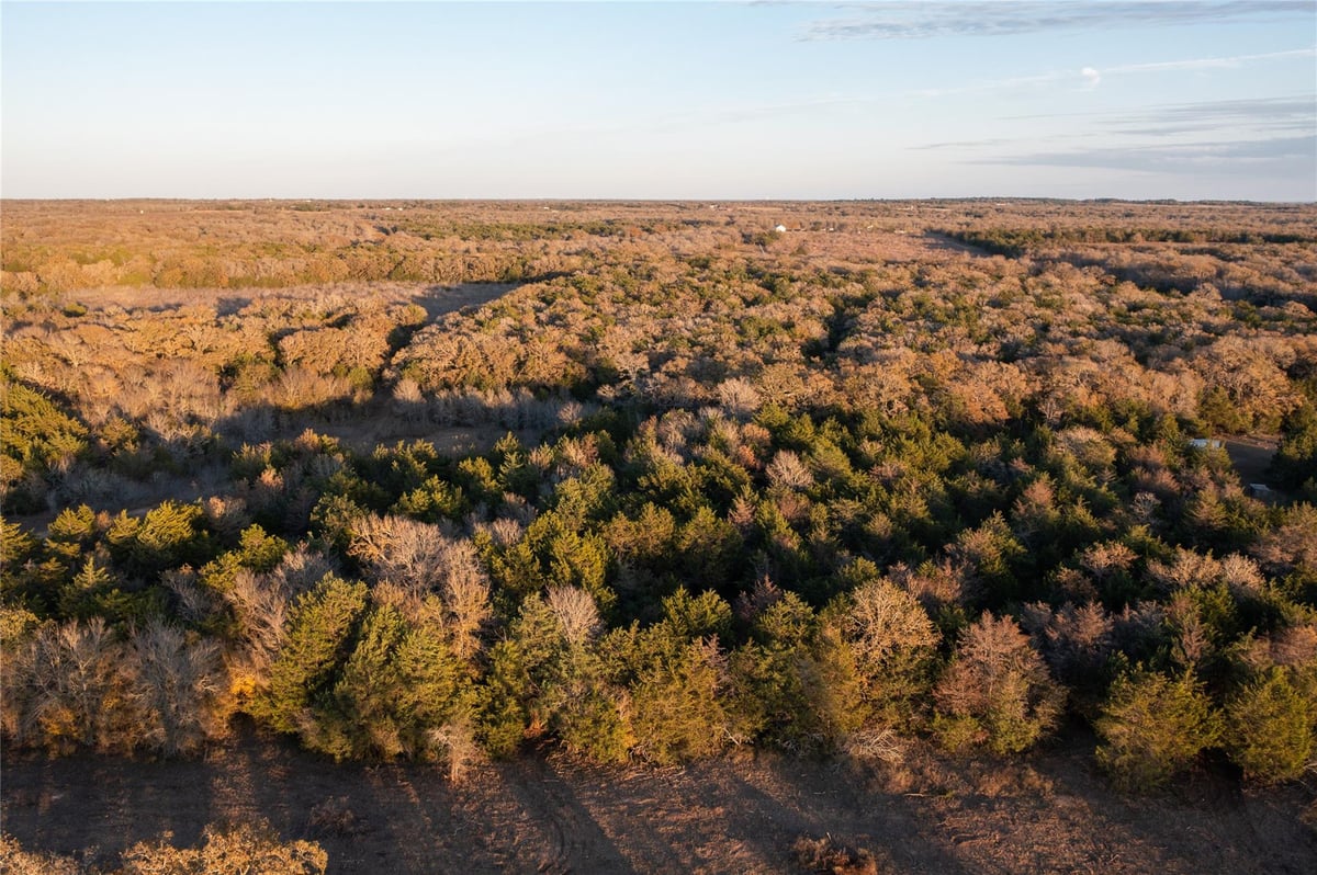 Living area at 000 TBD 17+/- Ac  Grassyville Rd - A244, Paige, TX