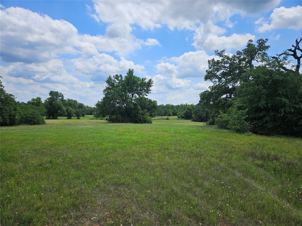 View 000 TBD CR 346 Rd in none 000 TBD CR 346 Rd - front exterior - Luxury lot in none, Milano, TX