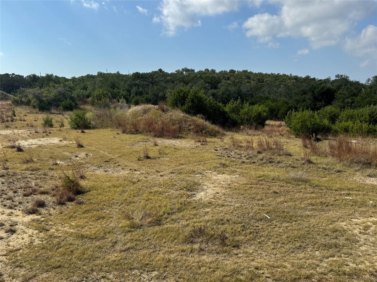 View 000 US 290 Hwy in C-US290E 000 US 290 Hwy - view with 000 US 290 Hwy in Dripping Springs - Luxury home in C-US290E, Dripping Springs, TX