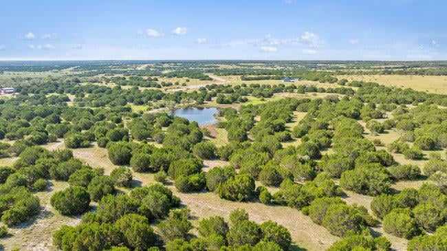 View 000 Watson-Yeary Rd 000 Watson-Yeary Rd - front exterior - Luxury home in Lampasas, TX