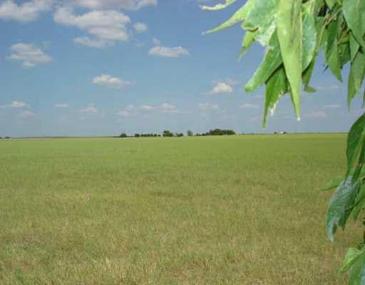 View 000 Werchan LN 000 Werchan LN - front exterior - Luxury home in Coupland, TX