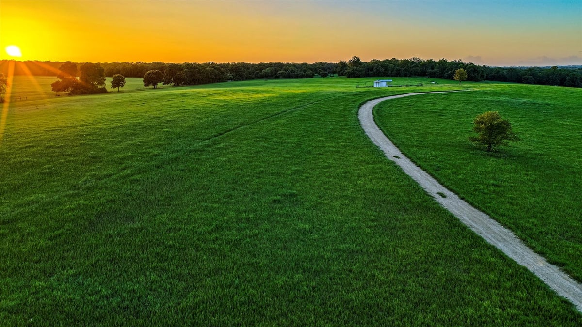 View 1462 County Road 313 in NONE 1462 County Road 313 - front exterior - Luxury home in NONE, Lexington, TX