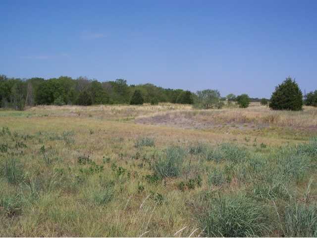 View 0000 F M Road 973 0000 F M Road 973 - front exterior - Luxury home in Coupland, TX
