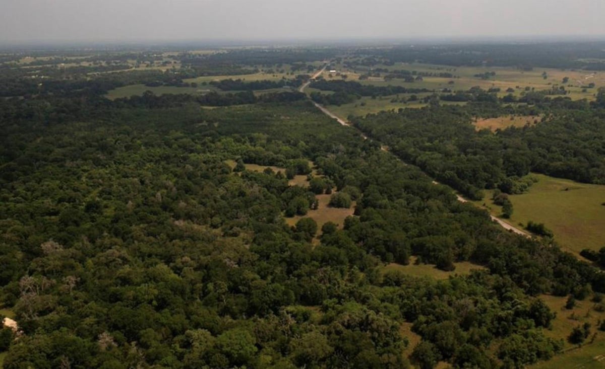 View 0000 FM 141 in A022 WALLACE, J. Y., TRACT 022E, ACRES 9.424 0000 FM 141 - front exterior - Luxury home in A022 WALLACE, J. Y., TRACT 022E, ACRES 9.424, Dime Box, TX