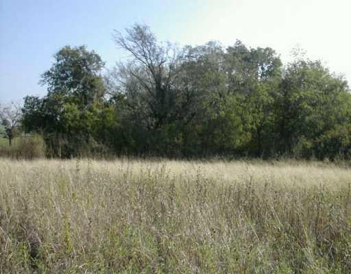 View 0000 FM 487 0000 FM 487 - front exterior - Luxury home in Jarrell, TX
