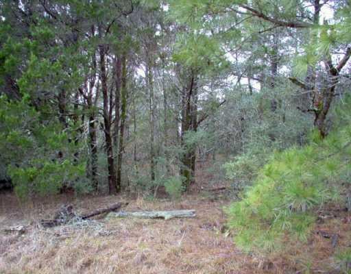 View 0000 Hanauma DR 0000 Hanauma DR - front exterior - Luxury lot in Bastrop, TX