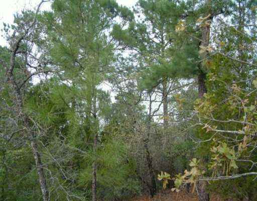 View 0000 Hoffman RD 0000 Hoffman RD - property photo 1 - Luxury lot in Bastrop, TX