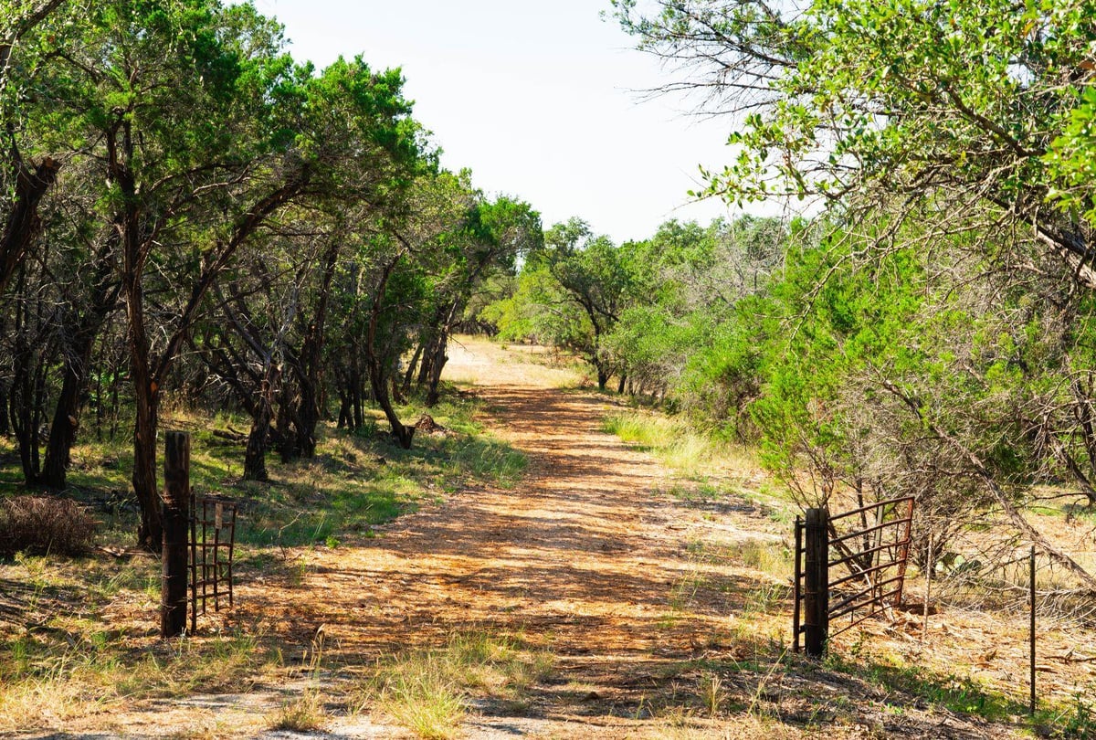 0000 Old Ferry Rd - front exterior - Luxury home in NA, Spicewood, TX