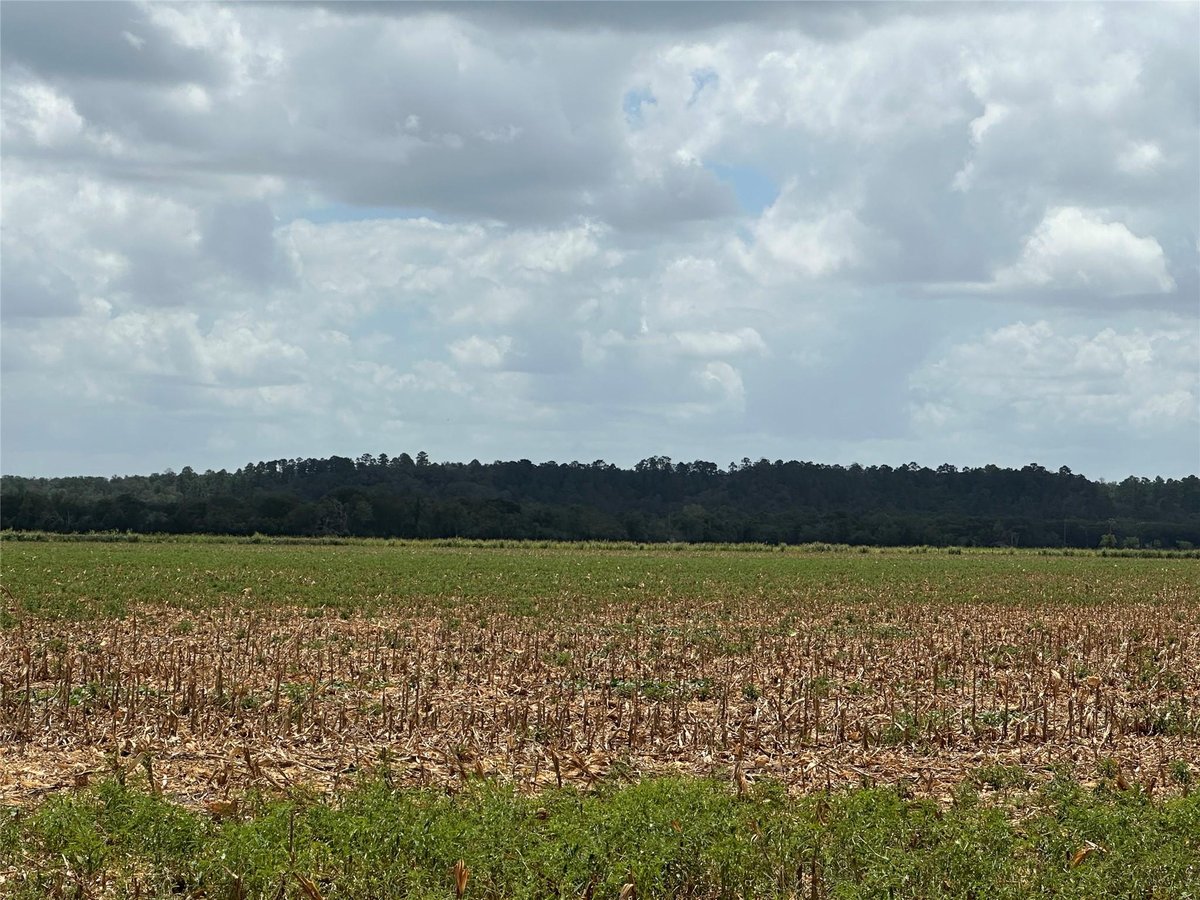 View 0000 Rabbs Prairie RD in A086 0000 Rabbs Prairie RD - property photo 1 - Luxury lot in A086, La Grange, TX