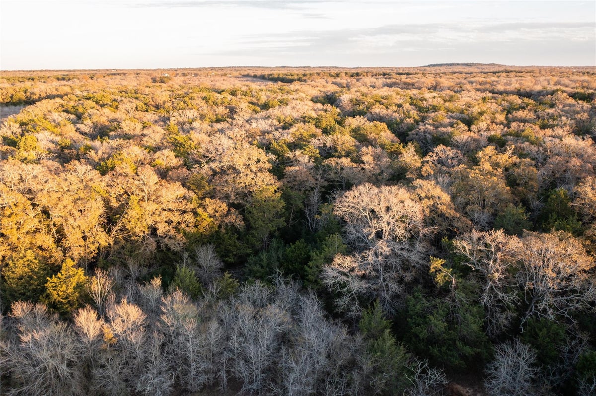 Kitchen at 0000 TBD 21+/- Ac Grassyville Rd - A244, Paige, TX