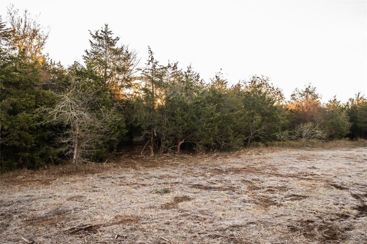 Primary bedroom at 0000 TBD 21+/- Ac Grassyville Rd - A244, Paige, TX