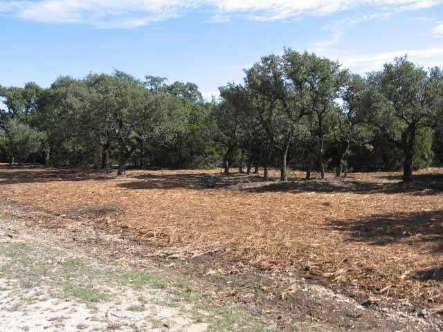 View 000000 Cr 108 000000 Cr 108 - front exterior - Luxury home in Lampasas, TX