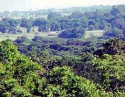 View 000000 Hwy 183 & Henderson Ln 000000 Hwy 183 & Henderson Ln - front exterior - Luxury home in Lockhart, TX