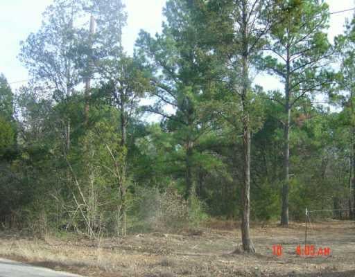 View 002 Hoffman RD 002 Hoffman RD - property photo 1 - Luxury lot in Bastrop, TX