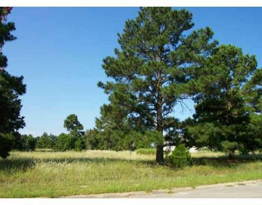 View 020 Pine View LOOP 020 Pine View LOOP - front exterior - Luxury lot in Bastrop, TX