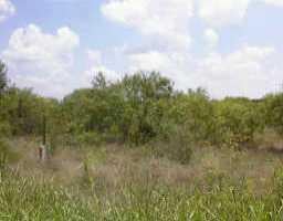 View 03 Mesquite DR 03 Mesquite DR - front exterior - Luxury lot in Coupland, TX