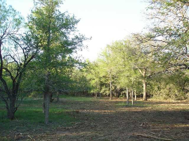 View 06 County Road 159 06 County Road 159 - front exterior - Luxury home in Lockhart, TX