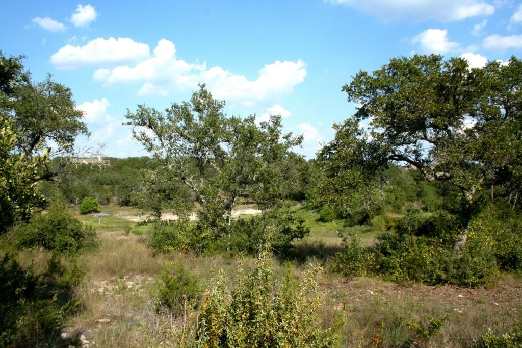 View 1.875 acres Baxter Ln in Scenic Brook Estates Sec 02 Re-Amd 1.875 acres Baxter Ln - front exterior - Luxury lot in Scenic Brook Estates Sec 02 Re-Amd, Austin, TX