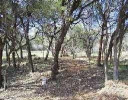 View 10 Inwood CV 10 Inwood CV - front exterior - Luxury lot in Rollingwood, TX