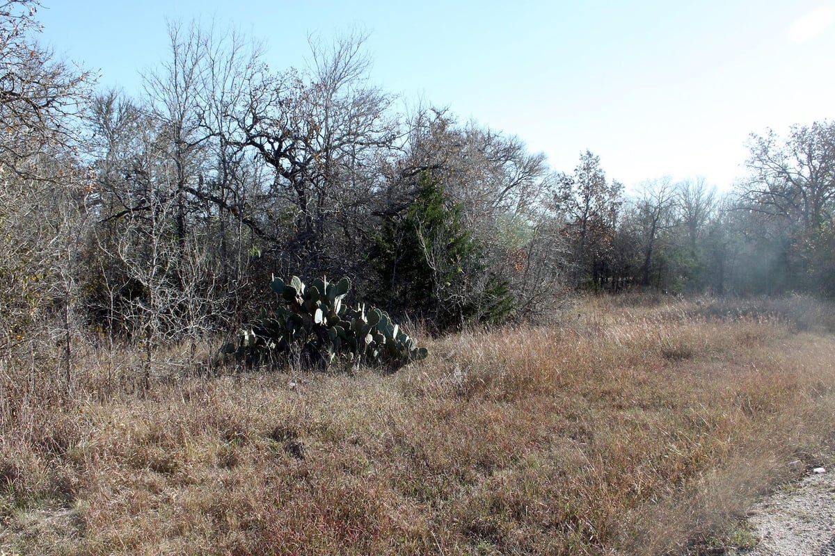 View 100 Track Road Hwy in n/a 100 Track Road Hwy - front exterior - Luxury lot in n/a, Dale, TX