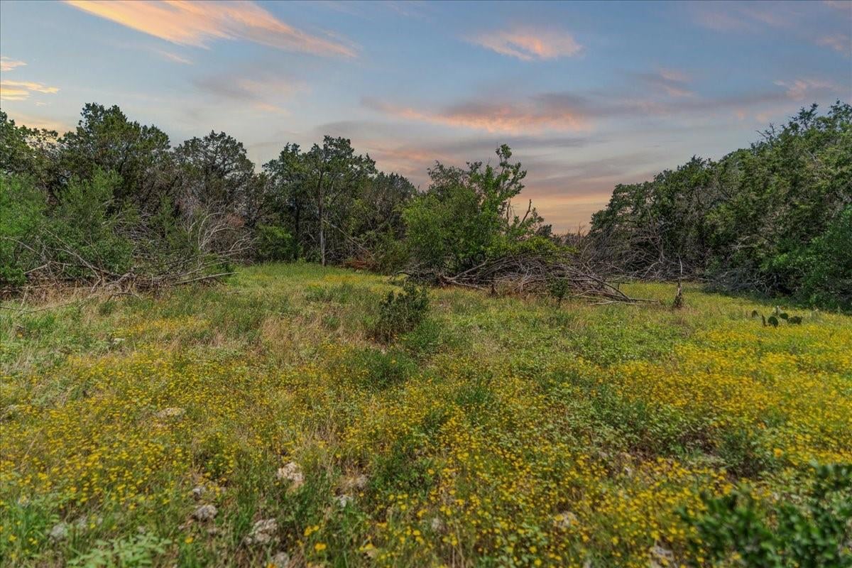 View 1001 Bluff View Rd in River Mountain Ranch Sec 4 1001 Bluff View Rd - front exterior - Luxury lot in River Mountain Ranch Sec 4, Wimberley, TX