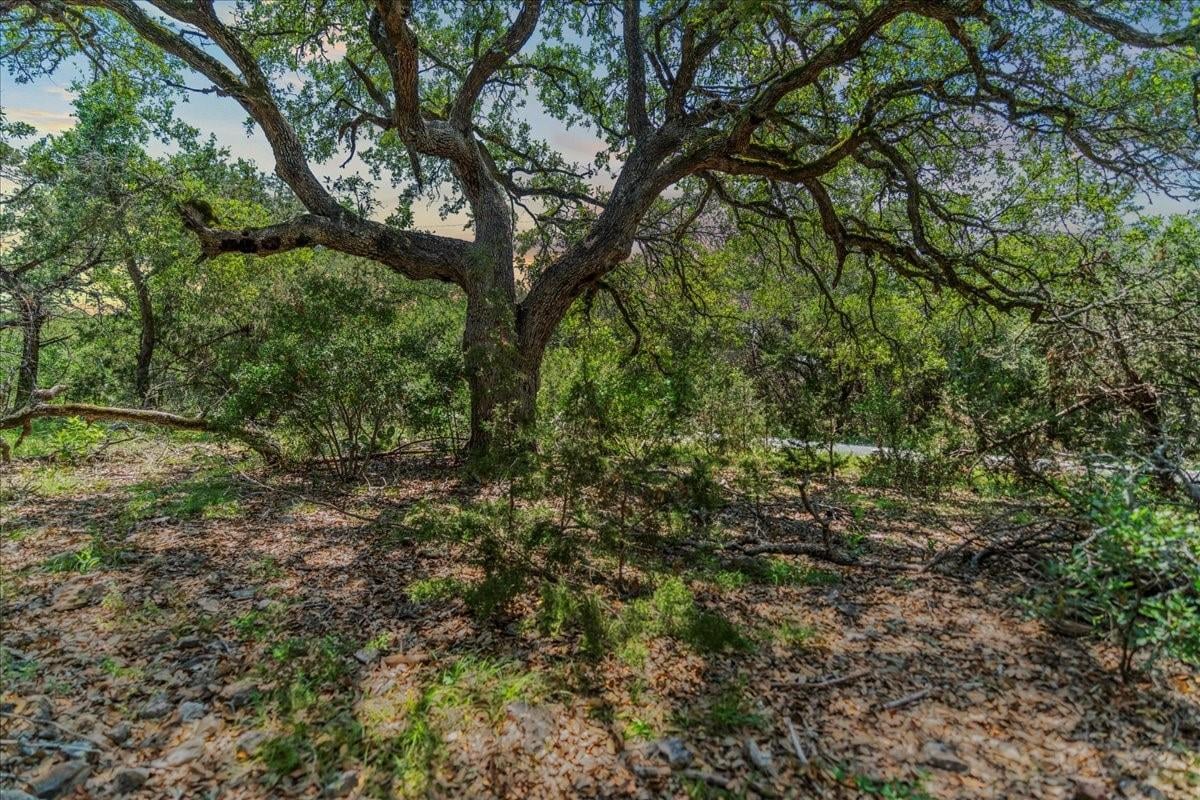 Living area at 1001 Bluff View Rd - River Mountain Ranch Sec 4, Wimberley, TX