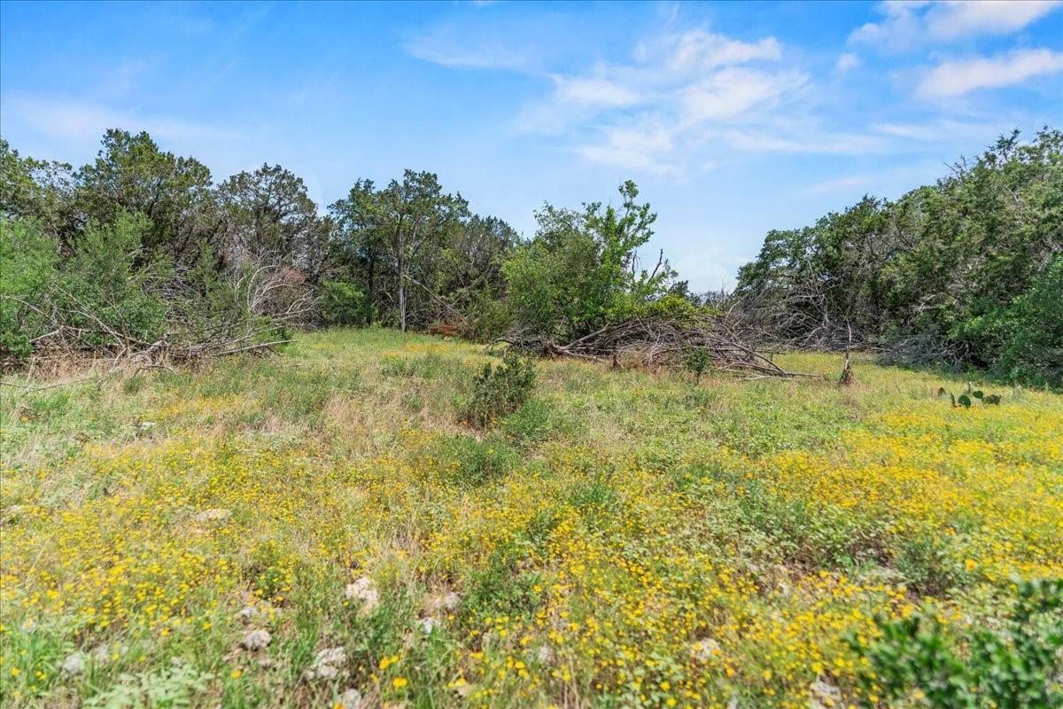 Primary bedroom at 1001 Bluff View Rd - River Mountain Ranch Sec 4, Wimberley, TX
