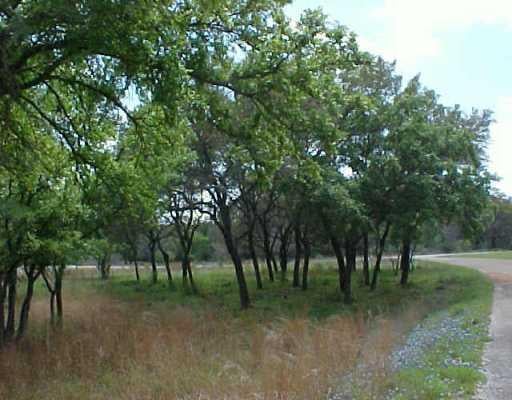 View 101 Azurite/Faultline 101 Azurite/Faultline - front exterior - Luxury lot in Horseshoe Bay, TX
