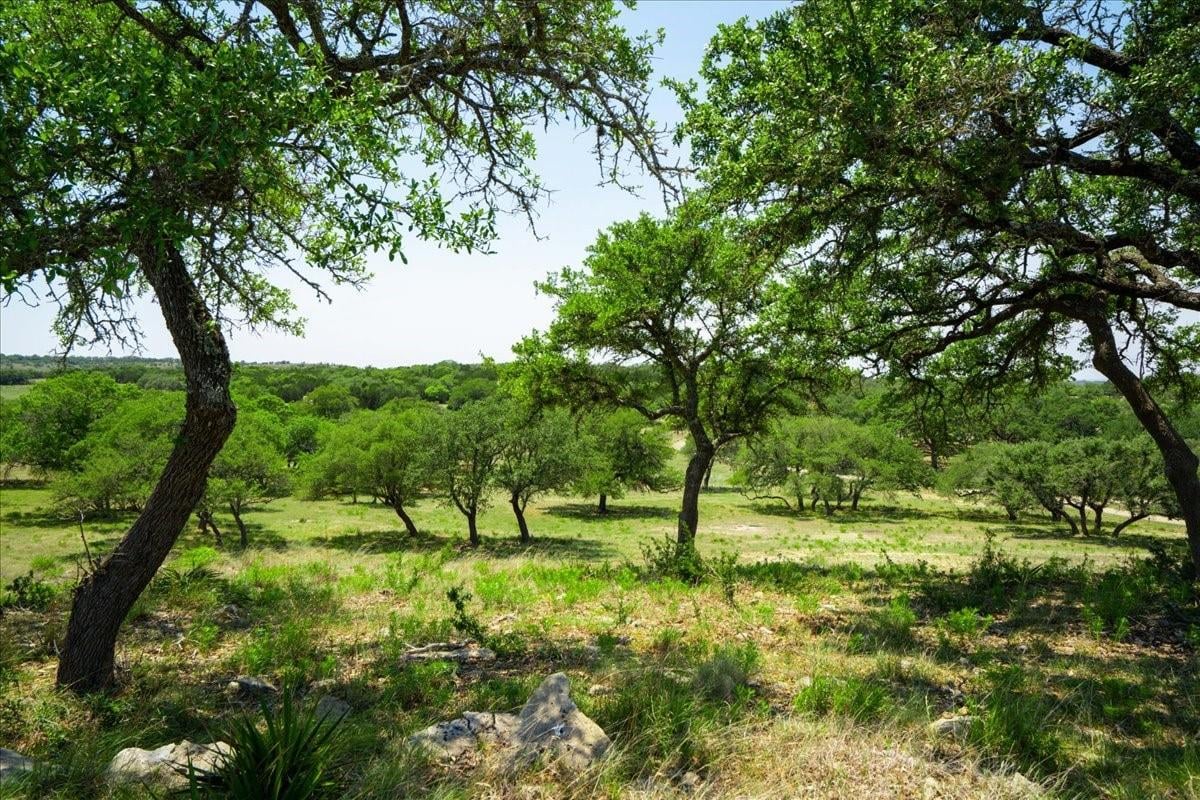 View 101 Mystic Overlook DR in NA 101 Mystic Overlook DR - property photo 1 - Luxury lot in NA, Dripping Springs, TX